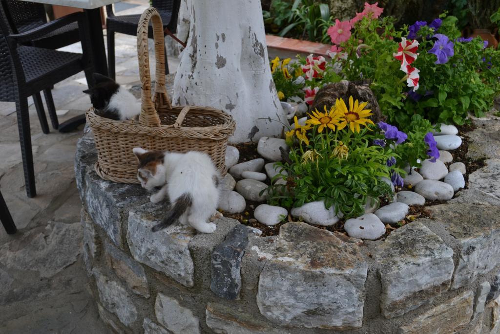 Christina Guest House Mystras Exteriér fotografie